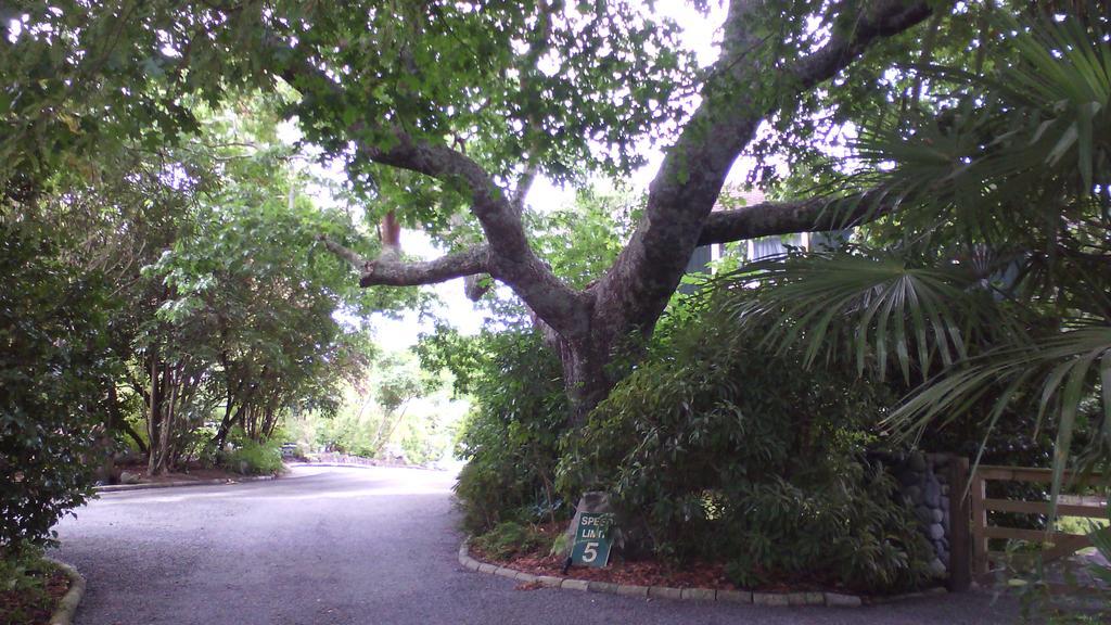 Creel Lodge Turangi Exterior photo